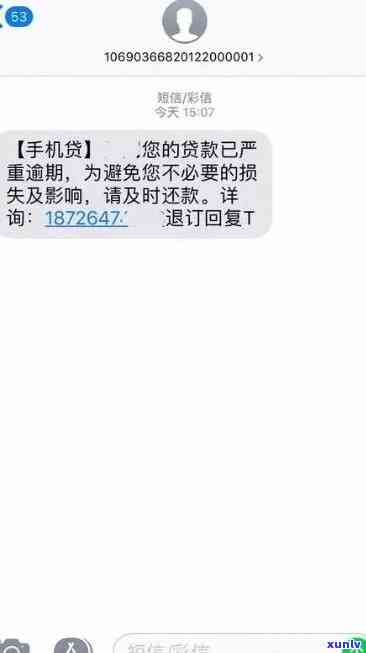 全面了解黄金翡翠玉镯价格：选购指南、推荐与市场行情分析