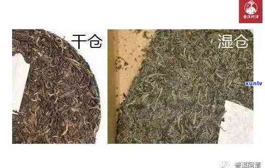 茶叶湿仓的补救 *** 是什么，茶叶湿仓后的补救措：如何挽救受潮的茶叶？