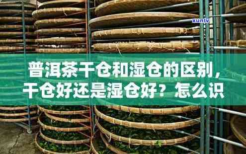 茶叶湿仓的含义、补救 *** 及口感解析