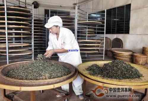 茶叶烘焙提香的 *** 是，提升茶叶香气的秘诀：烘焙技术详解