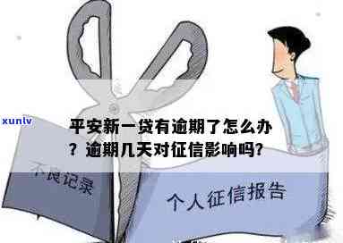 平安新一贷逾期欠款怎么办，怎样解决平安新一贷逾期欠款？