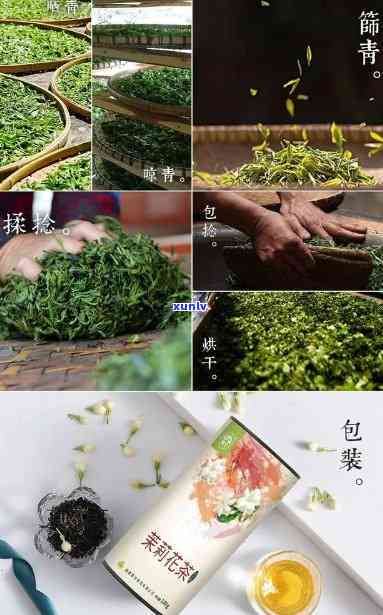 卖茶叶需要办理哪些可证？详解茶叶生产可证申请流程