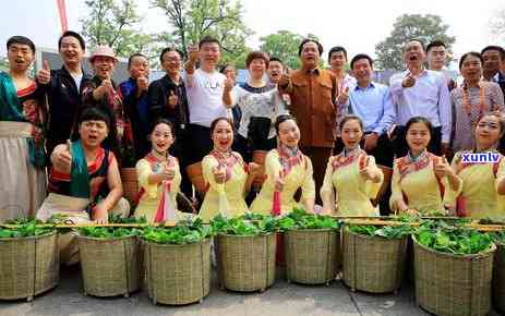 北京批发茶叶的地方在哪里？求详细信息！