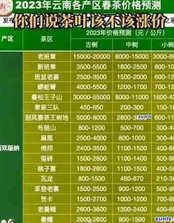 波有茶叶场吗？位置及价格全知道！