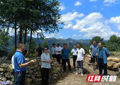 湘西茶叶有哪些地方的特产？探究湖南地区独特的美食文化