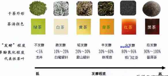 在各种茶叶冲泡程序中，冲泡技巧的三个基本要素是什么？