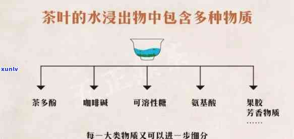 茶水浸出物含量测定：详解及其重要性