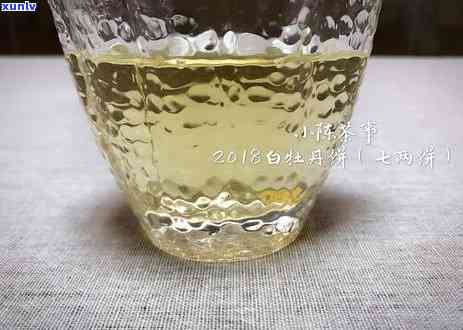 冲泡茶叶的基本程序是什么？从选茶、注水到品茗，详解全过程