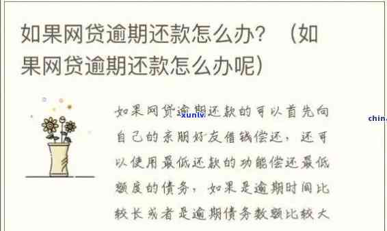 网贷提前消费逾期了-网贷提前消费逾期了怎么办