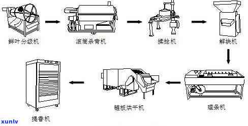 茶叶加工生产：可证办理与生产线设备全攻略