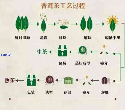 茶叶的加工工艺流程及检验时间全解，附图片