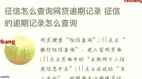 网贷逾期记录查询系统：快速查逾期情况