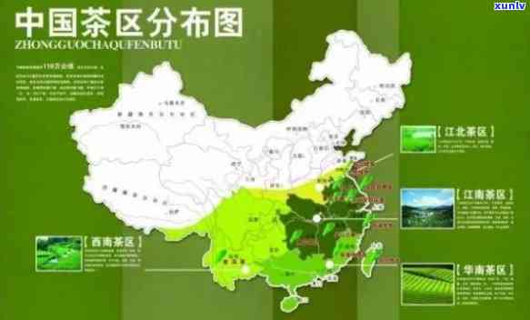 中国茶叶的地方在哪里，探秘中国茶叶的黄金产地：哪里的茶叶？