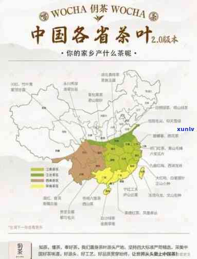 中国茶叶的地方在哪里，探秘中国茶叶的黄金产地：哪里的茶叶？