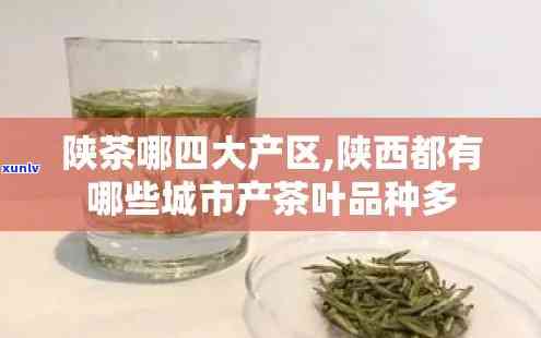 陕西省出茶叶的地方：哪些城市有优质的茶叶资源？