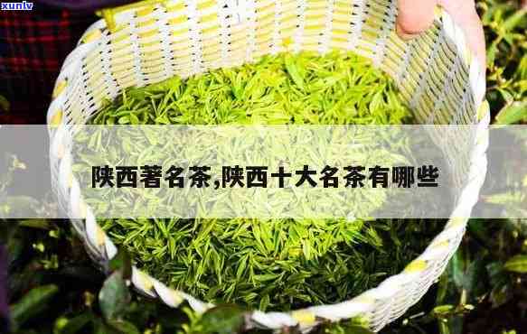 陕西省出茶叶的地方-陕西省出茶叶的地方有哪些