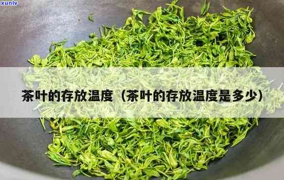 茶叶适合多少度存放？冬如何保存茶叶？