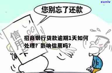 如意翡翠吊坠寓意详解：含义、图片及价格全解析