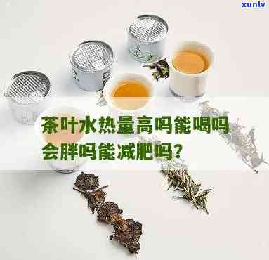 喝茶叶水减肥还是增肥？影响因素解析