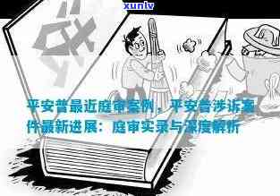 平安普最近庭审：案例与结果全解析