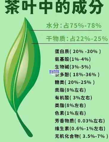 茶叶的主要功能性成分，揭示茶叶的神秘面纱：主要功能性成分解析