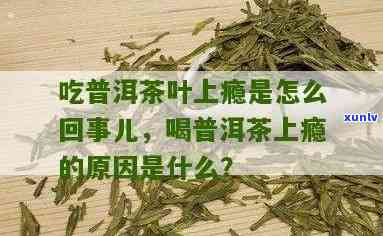 茶叶让人上瘾的成分-茶叶让人上瘾的成分是什么