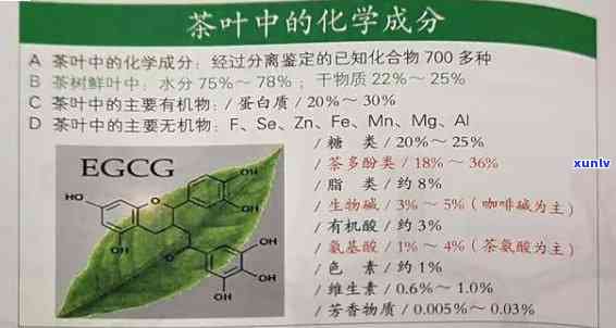 茶叶涩味的主要成分-茶叶涩味的主要成分是什么