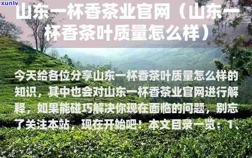 一杯香茶叶产地是哪里，探寻美味茶香：揭秘'一杯香茶叶'的产地来源