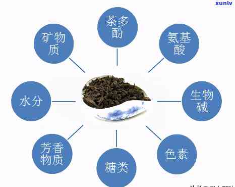 茶叶里包含哪些成分-茶叶里包含哪些成分呢