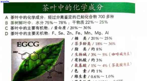 茶叶里包含哪些成分-茶叶里包含哪些成分呢