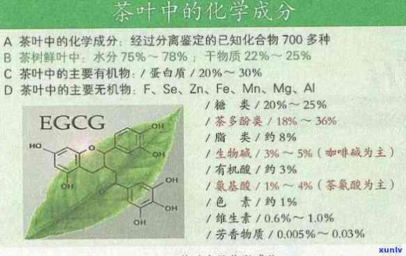 茶叶化学成分与特征性成分，揭示茶叶的奥秘：化学成分与特征性成分解析