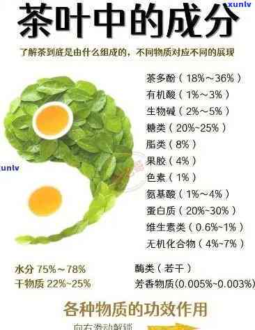 揭示茶叶中的抗衰老成分：详细解析与意义