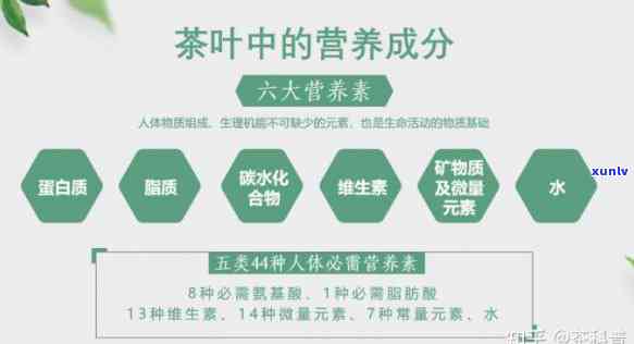 揭示茶叶中的抗衰老成分：详细解析与意义