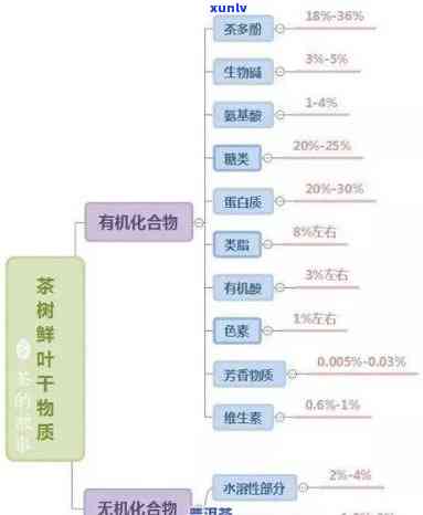 茶叶中的功能性成分有哪些？详解其种类与作用