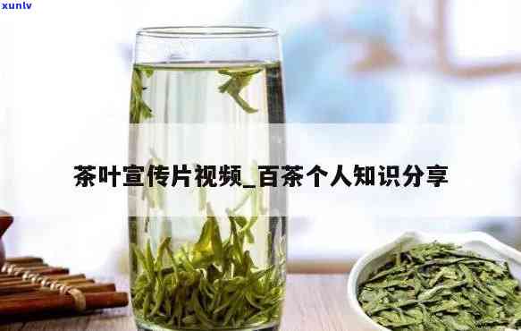 茶叶的介绍视频，深入了解茶叶：一次全面的介绍视频