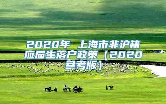 2020年非上海户，非上海户人员在2020年的境遇和挑战