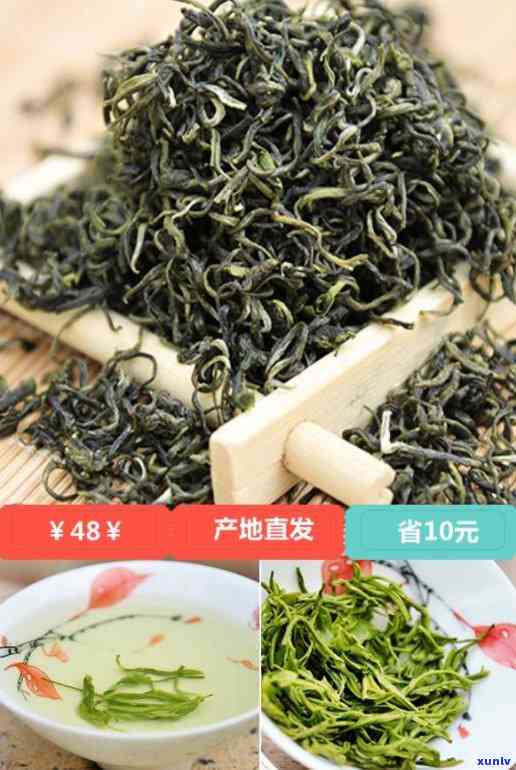 白茶、红茶：凉性或热性？揭开茶叶性质的神秘面纱