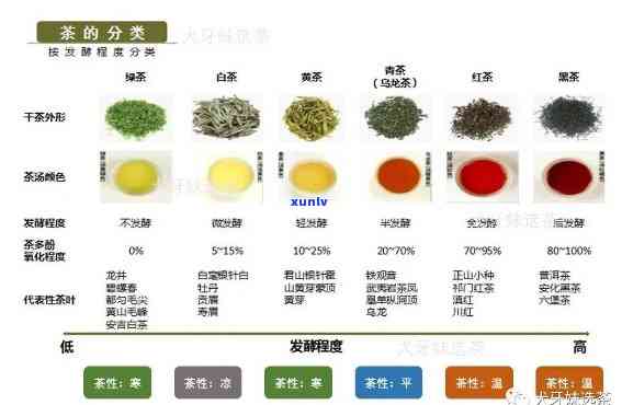 茶叶寒性热性一览表，全解茶叶的寒热性质：一份详尽的茶叶寒性热性一览表