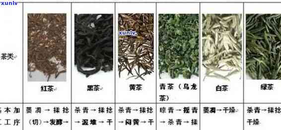 茶叶属于热性还是凉性，探讨茶叶属性：是热性还是凉性？