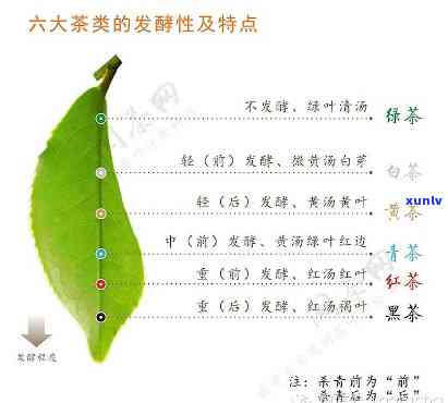 茶叶酚氨比与适制性-茶叶酚氨比围