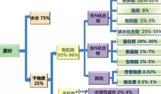 茶叶中抗氧化的成分是什么？详解其含义与作用