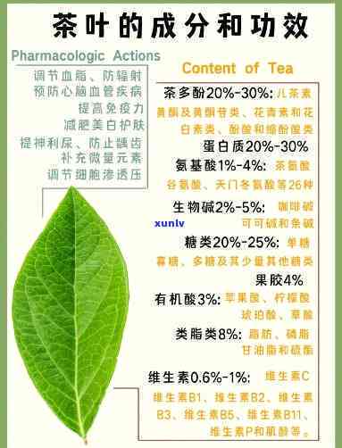 简述茶叶主要成分与功效及其作用