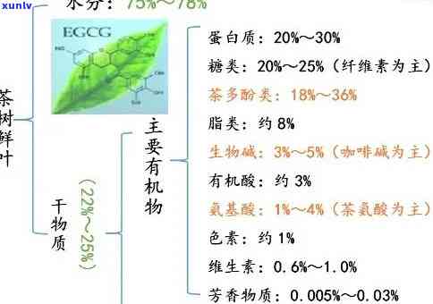 茶叶的重要组成成分-茶叶的重要组成成分是什么