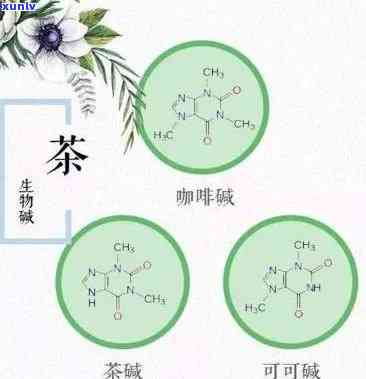 茶叶影响睡眠的成分是什么？解析其作用机制与影响因素