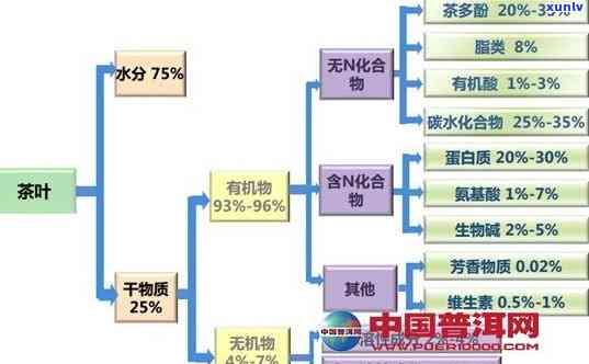 茶叶的营养保健成分-茶叶的营养保健成分有哪些