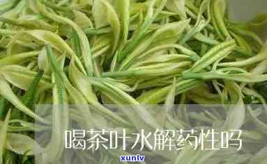 茶叶茶会不会解药性-茶叶茶会解药性吗