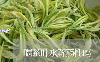 茶叶到底解不解药性-茶叶是否解药性