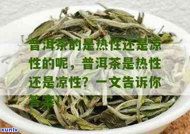 茶叶是不是属于凉性的，茶叶：是凉性还是性？一次全面解析