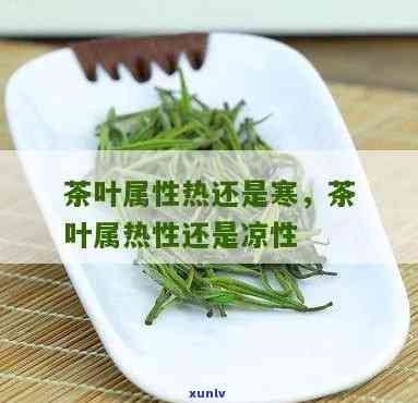 茶叶是不是属于凉性食物，茶叶是凉性食物吗？探讨其性质与影响