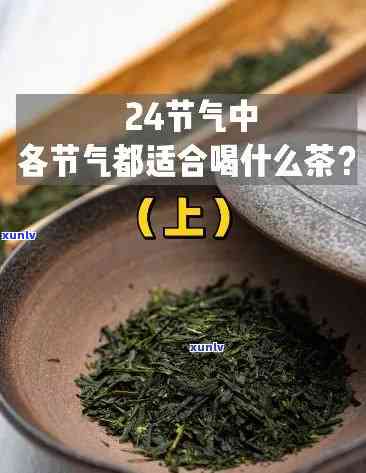 节与茶叶的适制性差异，节对茶叶适制性的影响：一场节与茶的完美邂逅